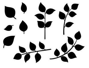 Wall Mural - Black silhouette of autumn leaves on branches flat vector illustration isolated on white background