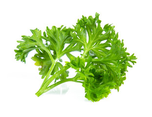 Parsley isolated on white background