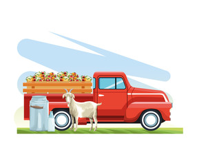 Sticker - farming pickup truck with fruits and vegetables goat and canister milk