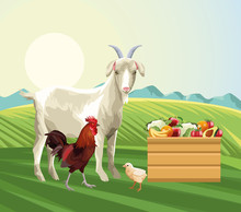 Farming Goat Rooster Chick Basket With Fruits And Vegetables