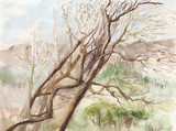Watercolor of leafless lilac tree
