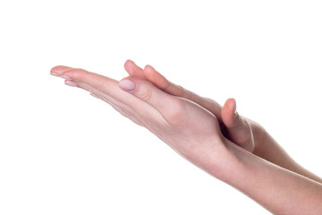 Wall Mural - Clapping. beautiful female hands isolated on white background giving applause