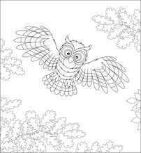 Striped Owl With Big Round Eyes Flying In The Midnight Sky And Hunting Over A Wild Forest, Black And White Vector Cartoon Illustration For A Coloring Book Page