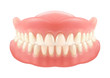 Dental jaw or dentures, false teeth with incisors
