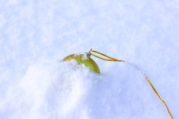 Wall Mural - The Golden Christmas ball is forgotten and lies on the snow. Concept of completion or end of winter holidays.