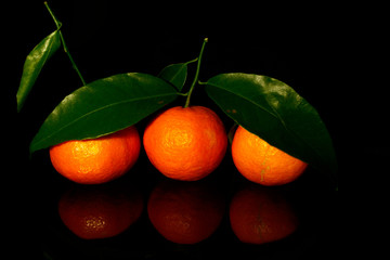 three mandarins with leaves isolated on black with reflection