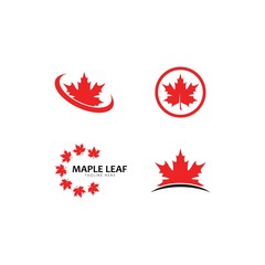 maple leaf logo template vector icon illustration