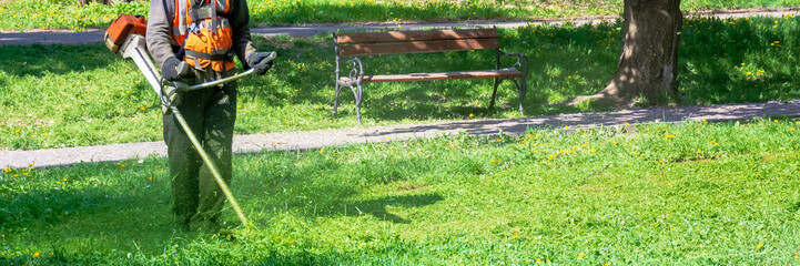 grass care with brush cutter. working with professional grade garden tool in the park. using trimmer line to mow grass on a sunny day in spring. pieces of weeds thrown apart in the air