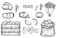 Fresh And Cooked Potato Icons Set