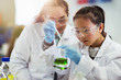 © Robert Daly/Caia Image - Girl students conducting chemistry experiment in classroom laboratory