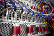 © Rafal Rodzoch/Caia Image - Close up server panels and network connection plug