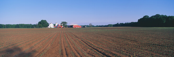 Poster - Planted Spring Field and Farm, Maryland