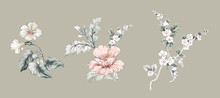 Watercolor Flowers Set,Floral Background For Fashion Prints. Design For Textile, Wallpapers, Wrapping, Paper. Spring Flowery Texture
