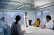 © Tom Merton/Caia Image - Female doctor leading conference room meeting