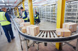 © Ryan Lees/Caia Image - Workers processing cardboard boxes on conveyor belt in distribution warehouse