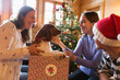 © Sam Edwards/Caia Image - Family playing with dog in Christmas gift box