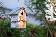A Bird House Decorated In A Garden Makes Our Backyard Beautiful. And There Are Birds Creating A Fresh Atmosphere In The Backyard.