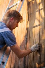 Male Worker On Ladder Staining Wood Siding On Home Exterior