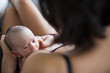 © Sam Edwards/Caia Image - Mother breastfeeding newborn baby son