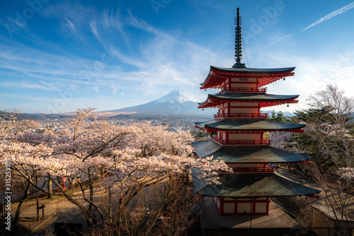 Dekoracja na wymiar  fujiyoshida-japonia-w-chureito-pagoda-i-mt-fuji-na-wiosne-z-pelnymi-kwiatami-wisni