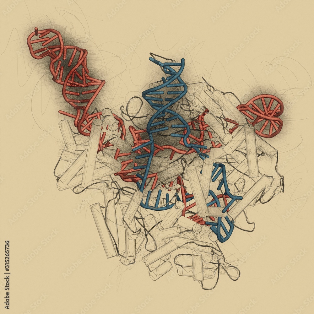 CRISPR-CAS9 gene editing, illustration Stock Photo | Adobe Stock