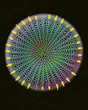 © Science RF - Centric fossil diatom frustule, SEM