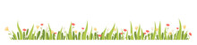 Horizontal Banner Spring Grass And Flowers. Vector Illustration