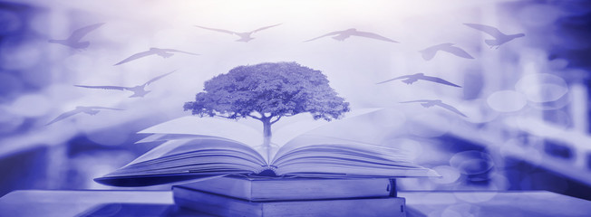 Poster - The concept of education by planting a tree of knowledge in the opening of an old book in the library and the magical magic of light that flies to the destination of success. Beautiful background