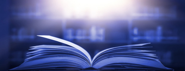 Poster - bewitched book with magic glows in the darkness