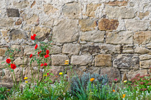 Background: Beautiful Rustic Medieval Castle Wall With Colourful Flowers In The Foreground