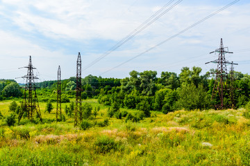 High voltage power line in forest