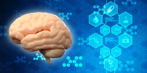 Poster - 3d illustration Human health brain 