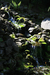 Wall Mural - small waterfall natural texture