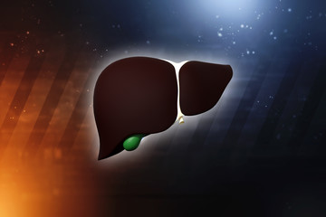 Poster - Realistic human liver 3d illustration