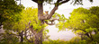 © Phil @pic - Leopard Südarfrika, Krüger Nationalpark