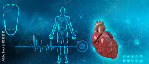 Cuadros en Lienzo 3d illustration Anatomy of Human Heart