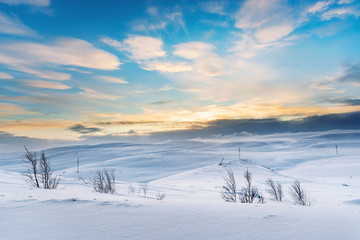 Wall Mural - power line traverses a snow covered remote region in the arctic