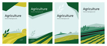 Cover Design With Agriculture Or Farming Concept. Vector Illustrations With Farm Land, Field, Spike Of Wheat. Set Of Banner Backgrounds. Templates With Tractor, Harvest, Hayfield For Flyer, Poster, Ad