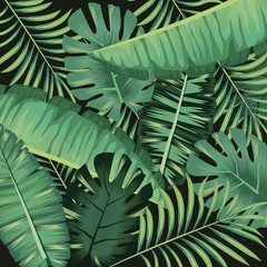 Poster - tropical foliage leaves botanical decoration background