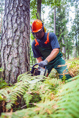 Wall Mural - lumberjack at work