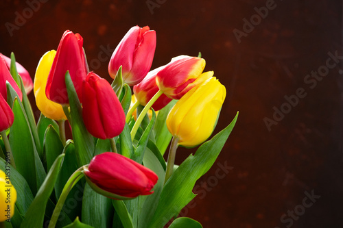 red and yellow tulips
