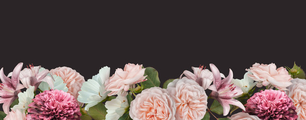 Wall Mural - Border floral banner, header with copy space. Pastel pink roses, zinnia and lily isolated on dark background. Natural flowers wallpaper or greeting card.