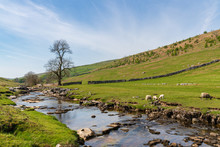 Yorkshire Dales Landscape And The River Wharfe Near Yockenthwaite, North Yorkshire, England, UK
