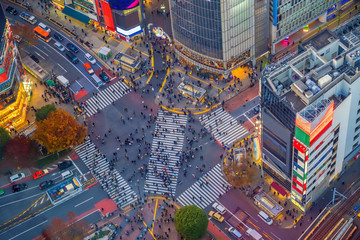 Wall Mural - Shibuya Crossing from top view at night in Tokyo