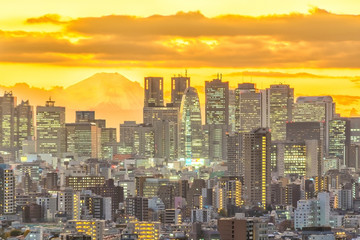 Wall Mural - Top view of Tokyo city skyline (Shinjuku and Shibuya) area with beautiful sunset