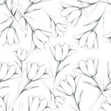 Fototapeta  - Spring pattern with tulips, pencil, spring flower. March 8. black, gray Dutch tulips, vintage pencil drawing, hand drawing. field of tulips. Stock illustration. Background for wallpaper, textile.