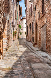 Fototapeta Uliczki - Narrow street in the smal viallge of Spello, Italy