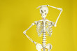 Artificial human skeleton model on yellow background