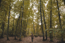 Young Woman In Hat Wrapping In Checkered Scarf While Standing On Dry Leaves In Autumn Forest