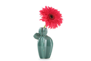 Wall Mural - Ceramic vase with gerbera flower isolated on white background